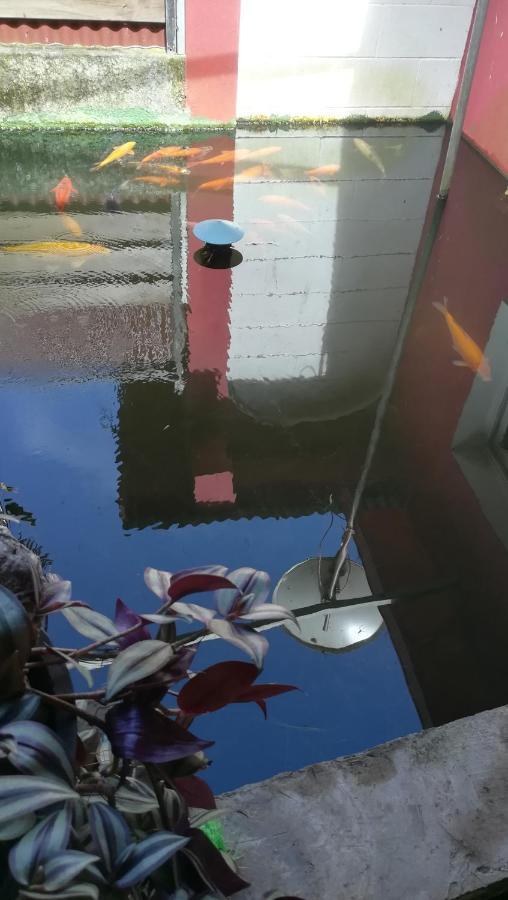 La Demoiselle Villa Salazie Dış mekan fotoğraf